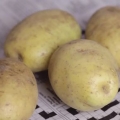 Armazenar batatas