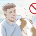 Reduzindo a ansiedade em cães