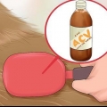 Usando vinagre de maçã em cães