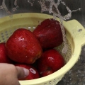 Secando maçãs