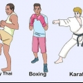 Começando com artes marciais mistas