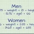 Calcule quantas calorias você queima em um dia