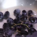 Fazendo uvas congeladas
