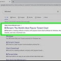 Usando bittorrent