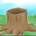 Matar raízes de árvores