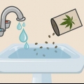 Plantando sementes de cannabis dentro de casa
