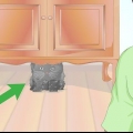 Verificando se um gato está com febre