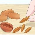 Plantando sementes de tâmaras