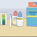 Reduza o nível de amônia em seu aquário