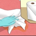 Removendo o cheiro de urina de gato