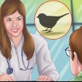Cortando as asas de um pequeno pássaro