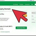 Baixe com o utorrent