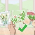 Organize três fotos em uma parede