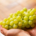Mantendo as uvas frescas