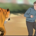 Sobrevivendo a um ataque de tigre
