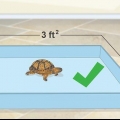 Criando um habitat interno para um terrapene