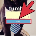 Excluir um blog no tumblr