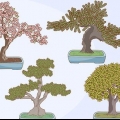 Cultivando e cuidando de uma árvore bonsai