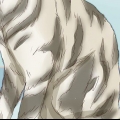 Reconhecendo um gato malhado