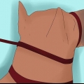 Treinando um doberman pinscher