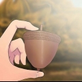 Cultivando um carvalho plantando uma bolota