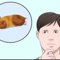 Como tirar um hamster da hibernação