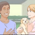 Acariciando um cachorro