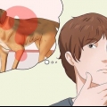 Deixando um cachorro mais gordo