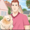 Dando um novo nome a um cachorro