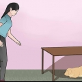 Mantendo um cão calmo durante os fogos de artifício