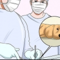 Como fazer um cachorro parar de morder