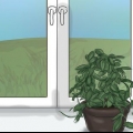 Fazendo uma planta hoya florescer