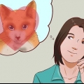 Ter um gato como animal de estimação