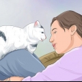 Impeça um gato de te acordar