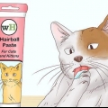 Ajudando um gato a tossir uma bola de pelo