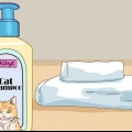 Dar banho em um gato com danos mínimos