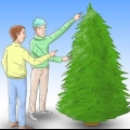 Cuidar de uma árvore de natal