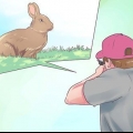 Preparando um coelho para cozinhar