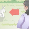 Segurando um coelho