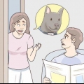 Encontrando um cachorro perdido