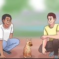 Treinando um malinois