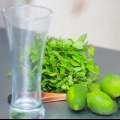 Fazendo um mojito