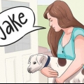 Invente um nome para o seu cachorro ou cachorro