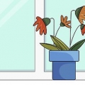 Salvando uma planta excessivamente fertilizada