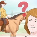Treinando um cavalo