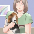 Escolhendo um filhote de cachorro de uma ninhada