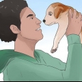Ensinando um cachorro seu nome