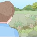 Criando um jardim de pedras com prevenção de ervas daninhas