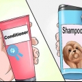 Lavando um filhote de shih tzu