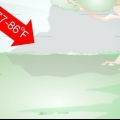 Faça um habitat de caracol